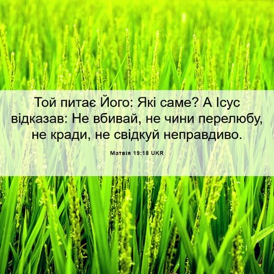 Picture 06 - Матвія 19:18 UKR - Той питає Його: Які саме? А - Bible Verse Picture