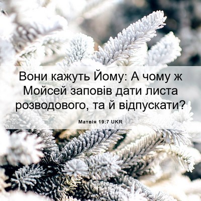 Picture 06 - Матвія 19:7 UKR - Вони кажуть Йому: А чому ж - Bible Verse Picture