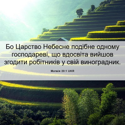 Picture 06 - Матвія 20:1 UKR - Бо Царство Небесне подібне - Bible Verse Picture