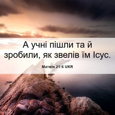 Picture 06 - Матвія 21:6 UKR - А учні пішли та й зробили, - Bible Verse Picture
