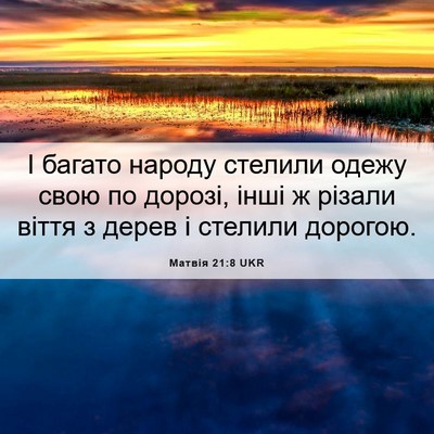 Picture 06 - Матвія 21:8 UKR - І багато народу стелили - Bible Verse Picture