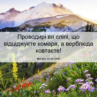 Picture 06 - Матвія 23:24 UKR - Проводирі ви сліпі, що - Bible Verse Picture