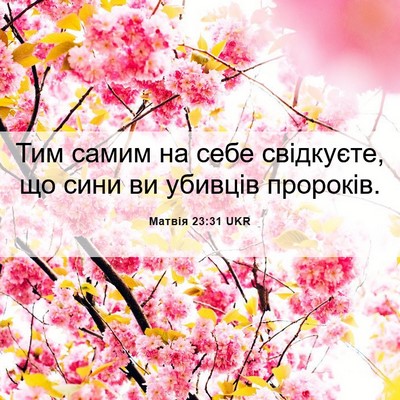 Picture 06 - Матвія 23:31 UKR - Тим самим на себе - Bible Verse Picture
