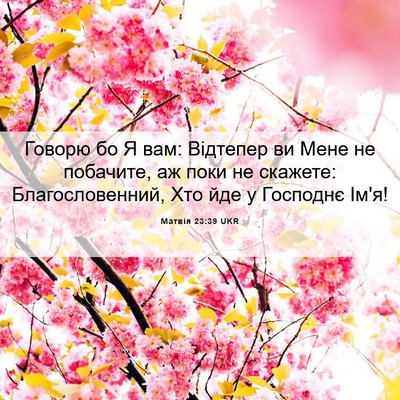 Picture 06 - Матвія 23:39 UKR - Говорю бо Я вам: Відтепер - Bible Verse Picture