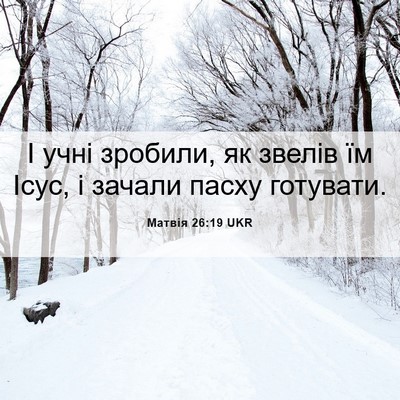 Picture 06 - Матвія 26:19 UKR - І учні зробили, як звелів - Bible Verse Picture