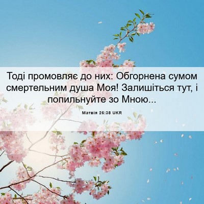 Picture 06 - Матвія 26:38 UKR - Тоді промовляє до них: - Bible Verse Picture