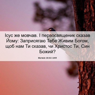 Picture 06 - Матвія 26:63 UKR - Ісус же мовчав. І - Bible Verse Picture