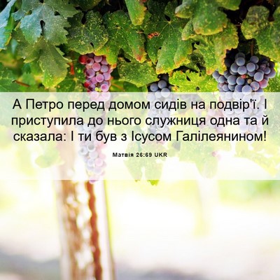 Picture 06 - Матвія 26:69 UKR - А Петро перед домом сидів - Bible Verse Picture