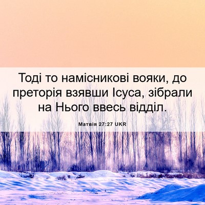Picture 06 - Матвія 27:27 UKR - Тоді то намісникові вояки, - Bible Verse Picture