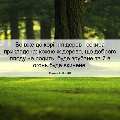 Picture 06 - Матвія 3:10 UKR - Бо вже до коріння дерев і - Bible Verse Picture