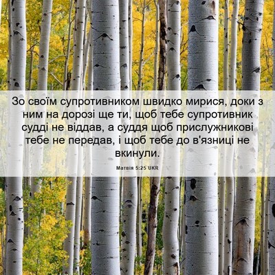 Picture 06 - Матвія 5:25 UKR - Зо своїм супротивником - Bible Verse Picture