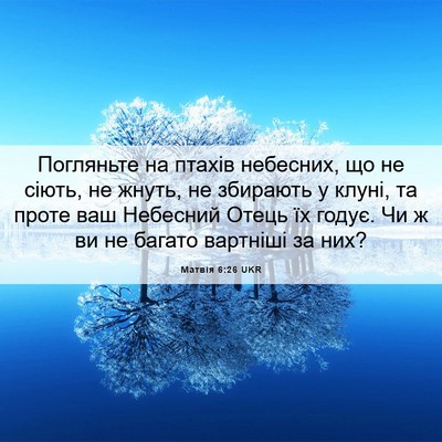 Picture 06 - Матвія 6:26 UKR - Погляньте на птахів - Bible Verse Picture
