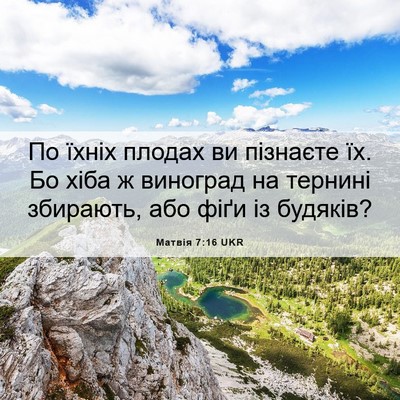 Picture 06 - Матвія 7:16 UKR - По їхніх плодах ви - Bible Verse Picture