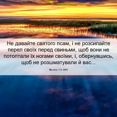 Picture 06 - Матвія 7:6 UKR - Не давайте святого псам, і - Bible Verse Picture