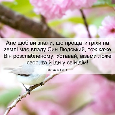 Picture 06 - Матвія 9:6 UKR - Але щоб ви знали, що - Bible Verse Picture