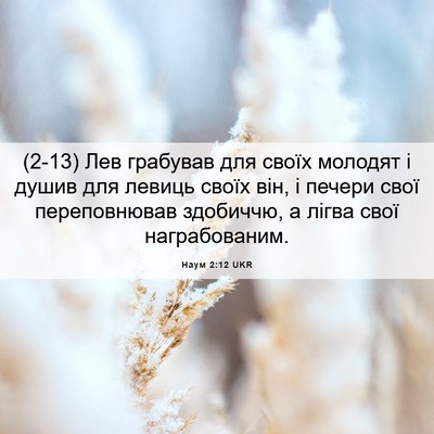 Picture 06 - Наум 2:12 UKR - (2-13) Лев грабував для своїх - Bible Verse Picture