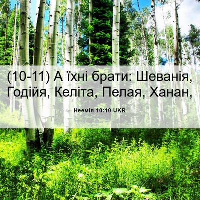 Picture 06 - Неемія 10:10 UKR - (10-11) А їхні брати: Шеванія, - Bible Verse Picture