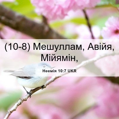 Picture 06 - Неемія 10:7 UKR - (10-8) Мешуллам, Авійя, - Bible Verse Picture
