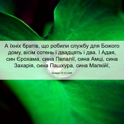 Picture 06 - Неемія 11:12 UKR - А їхніх братів, що робили - Bible Verse Picture
