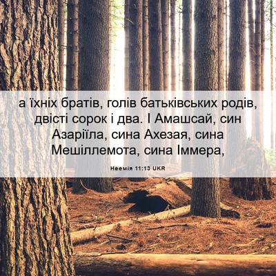 Picture 06 - Неемія 11:13 UKR - а їхніх братів, голів - Bible Verse Picture