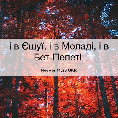 Picture 06 - Неемія 11:26 UKR - і в Єшуї, і в Моладі, і в - Bible Verse Picture
