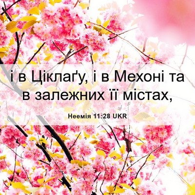 Picture 06 - Неемія 11:28 UKR - і в Ціклаґу, і в Мехоні та в - Bible Verse Picture