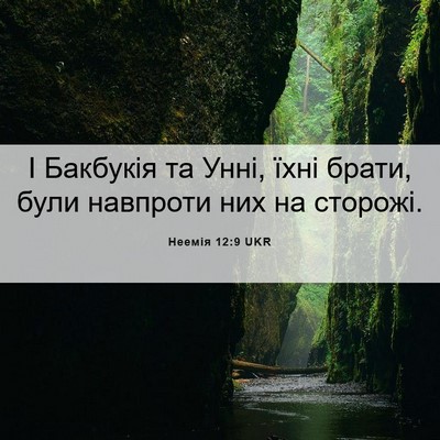 Picture 06 - Неемія 12:9 UKR - І Бакбукія та Унні, їхні - Bible Verse Picture