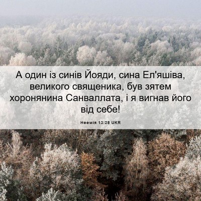 Picture 06 - Неемія 13:28 UKR - А один із синів Йояди, сина - Bible Verse Picture