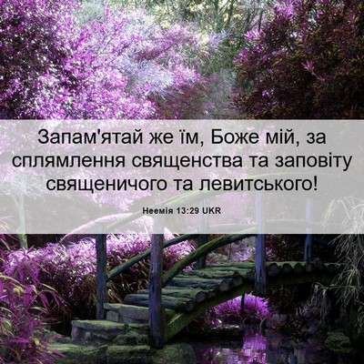 Picture 06 - Неемія 13:29 UKR - Запам'ятай же їм, Боже мій, - Bible Verse Picture