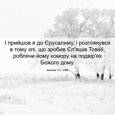 Picture 06 - Неемія 13:7 UKR - І прийшов я до Єрусалиму, і - Bible Verse Picture