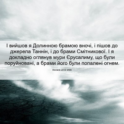 Picture 06 - Неемія 2:13 UKR - І вийшов я Долинною брамою - Bible Verse Picture