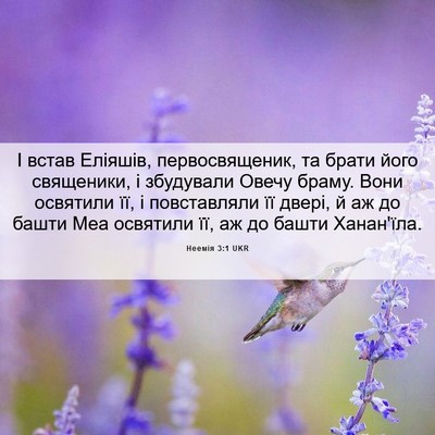 Picture 06 - Неемія 3:1 UKR - І встав Еліяшів, - Bible Verse Picture