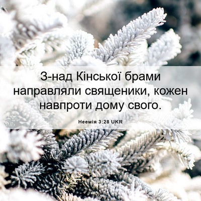 Picture 06 - Неемія 3:28 UKR - З-над Кінської брами - Bible Verse Picture