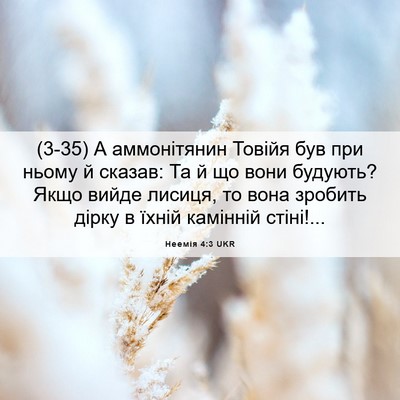 Picture 06 - Неемія 4:3 UKR - (3-35) А аммонітянин Товійя - Bible Verse Picture