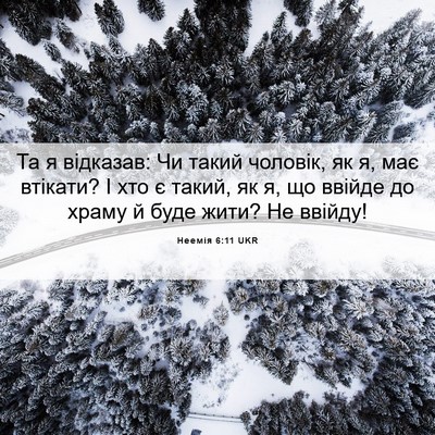 Picture 06 - Неемія 6:11 UKR - Та я відказав: Чи такий - Bible Verse Picture