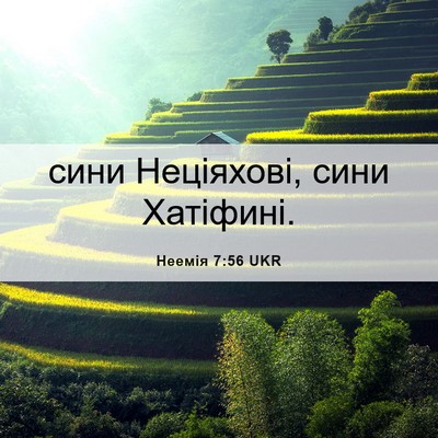 Picture 06 - Неемія 7:56 UKR - сини Неціяхові, сини - Bible Verse Picture