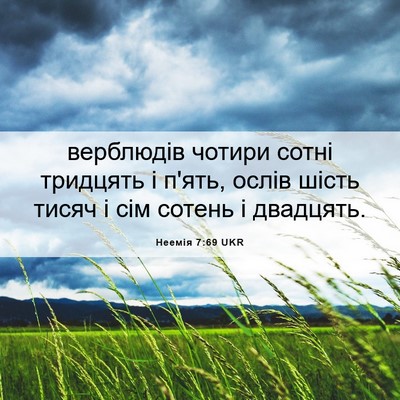 Picture 06 - Неемія 7:69 UKR - верблюдів чотири сотні - Bible Verse Picture