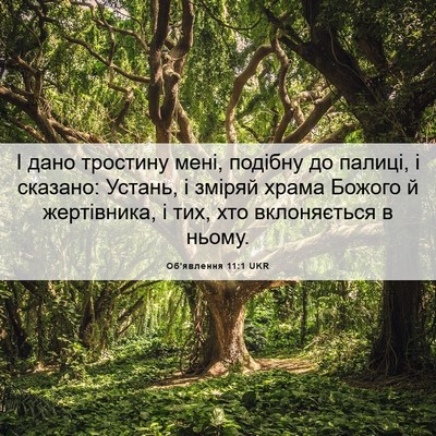 Picture 06 - Об'явлення 11:1 UKR - І дано тростину мені, - Bible Verse Picture