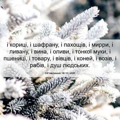 Picture 06 - Об'явлення 18:13 UKR - і кориці, і шафрану, і - Bible Verse Picture