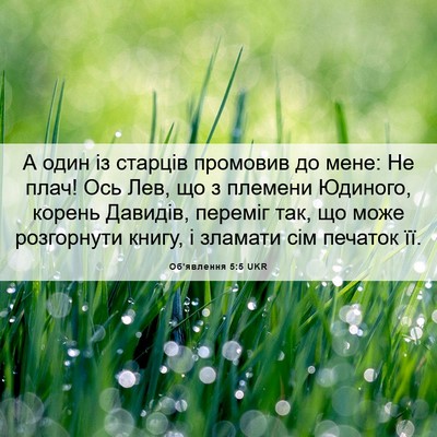 Picture 06 - Об'явлення 5:5 UKR - А один із старців промовив - Bible Verse Picture