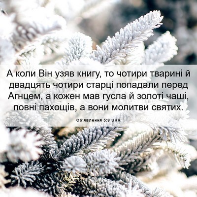 Picture 06 - Об'явлення 5:8 UKR - А коли Він узяв книгу, то - Bible Verse Picture