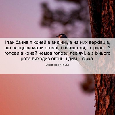 Picture 06 - Об'явлення 9:17 UKR - І так бачив я коней в - Bible Verse Picture