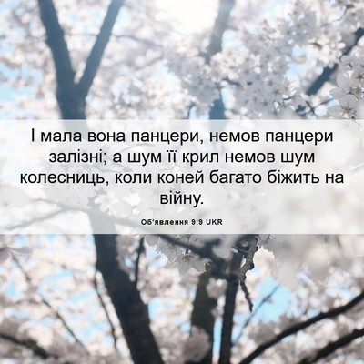 Picture 06 - Об'явлення 9:9 UKR - І мала вона панцери, немов - Bible Verse Picture