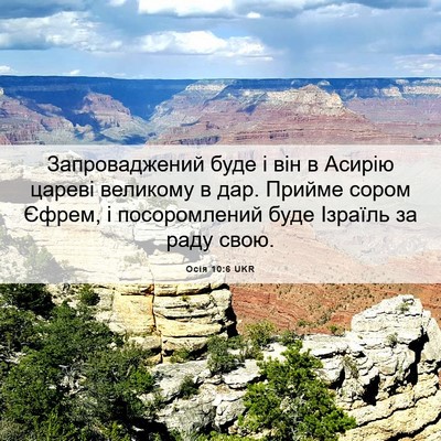Picture 06 - Осія 10:6 UKR - Запроваджений буде і він в - Bible Verse Picture