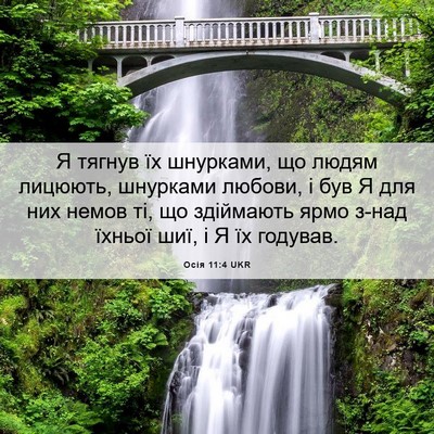 Picture 06 - Осія 11:4 UKR - Я тягнув їх шнурками, що - Bible Verse Picture