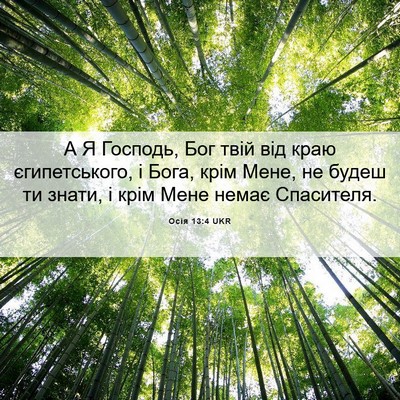 Picture 06 - Осія 13:4 UKR - А Я Господь, Бог твій від - Bible Verse Picture