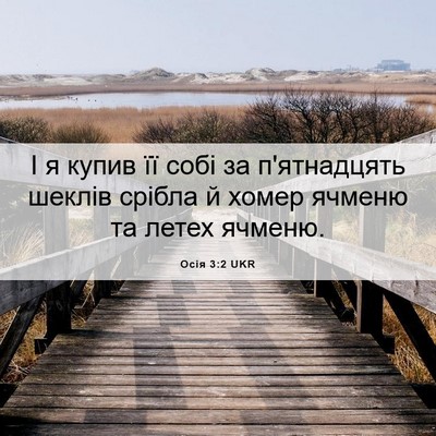 Picture 06 - Осія 3:2 UKR - І я купив її собі за - Bible Verse Picture