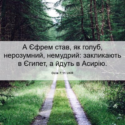 Picture 06 - Осія 7:11 UKR - А Єфрем став, як голуб, - Bible Verse Picture