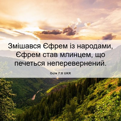 Picture 06 - Осія 7:8 UKR - Змішався Єфрем із - Bible Verse Picture