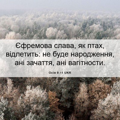 Picture 06 - Осія 9:11 UKR - Єфремова слава, як птах, - Bible Verse Picture